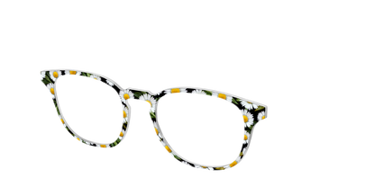 The Delicate Daisies