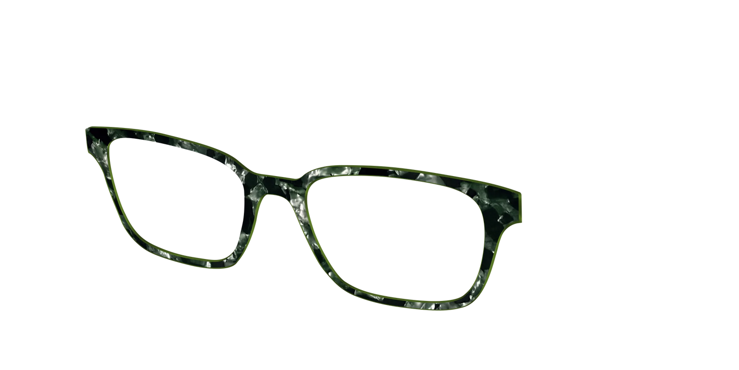 The Olive Pearl Tortoise
