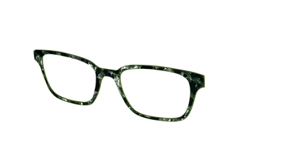The Olive Pearl Tortoise
