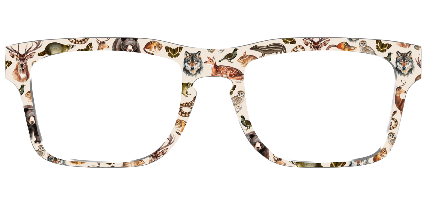 The Wildlife Illustrations
