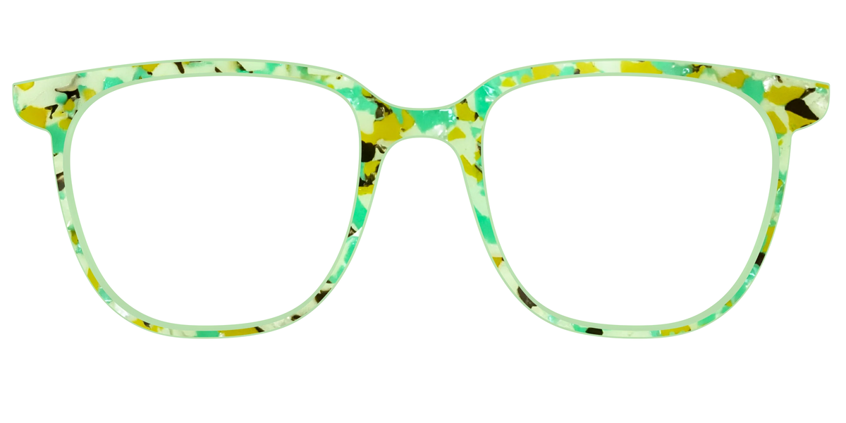 The Matcha Pearl Tortoise