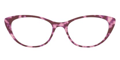 The Maroon Tortoise