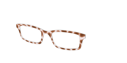 The Caffé Tortoise