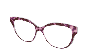 The Maroon Tortoise