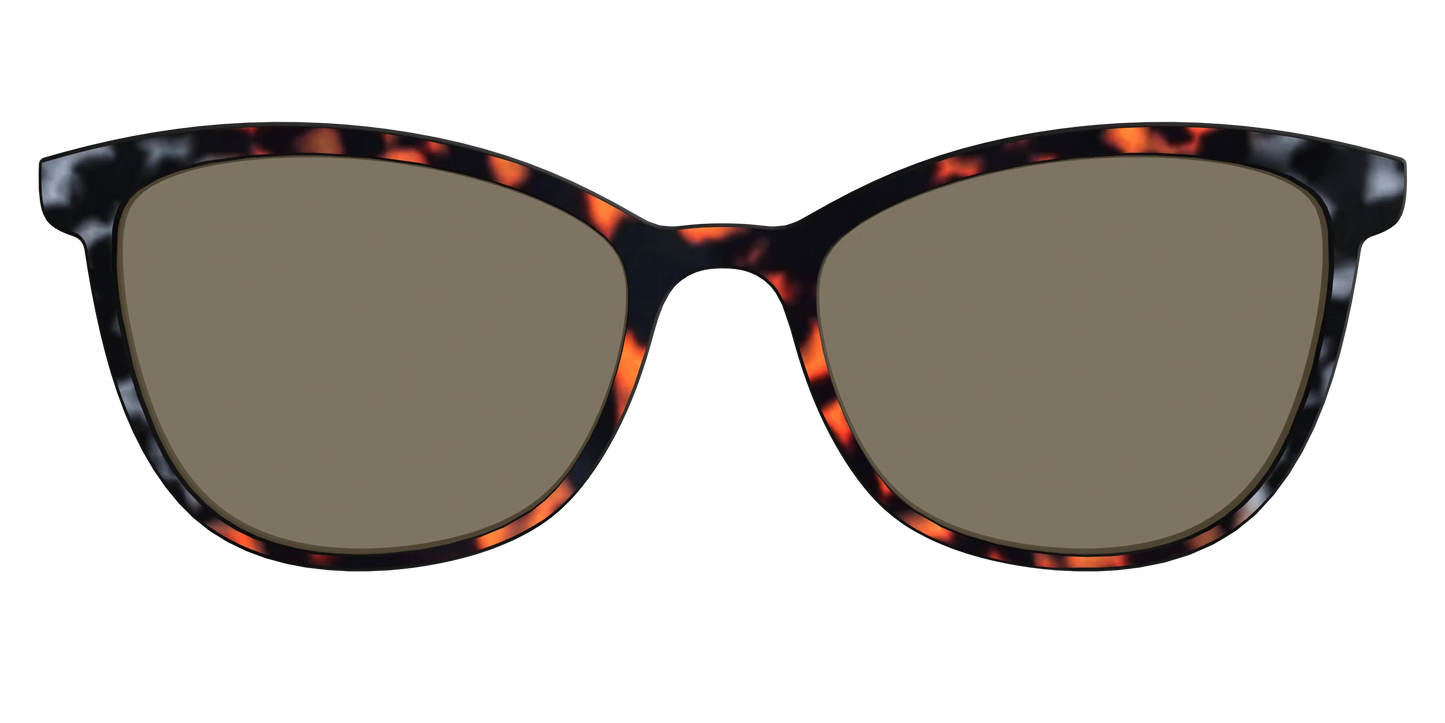 The Polarized Gray & Amber Tortoise Sun Top