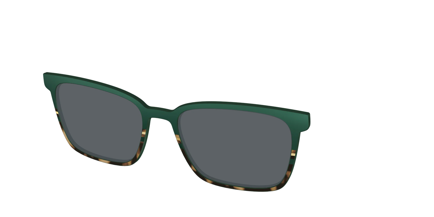 The Polarized Spruce Tortoise Sun Top