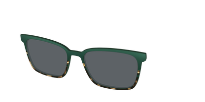 The Polarized Spruce Tortoise Sun Top