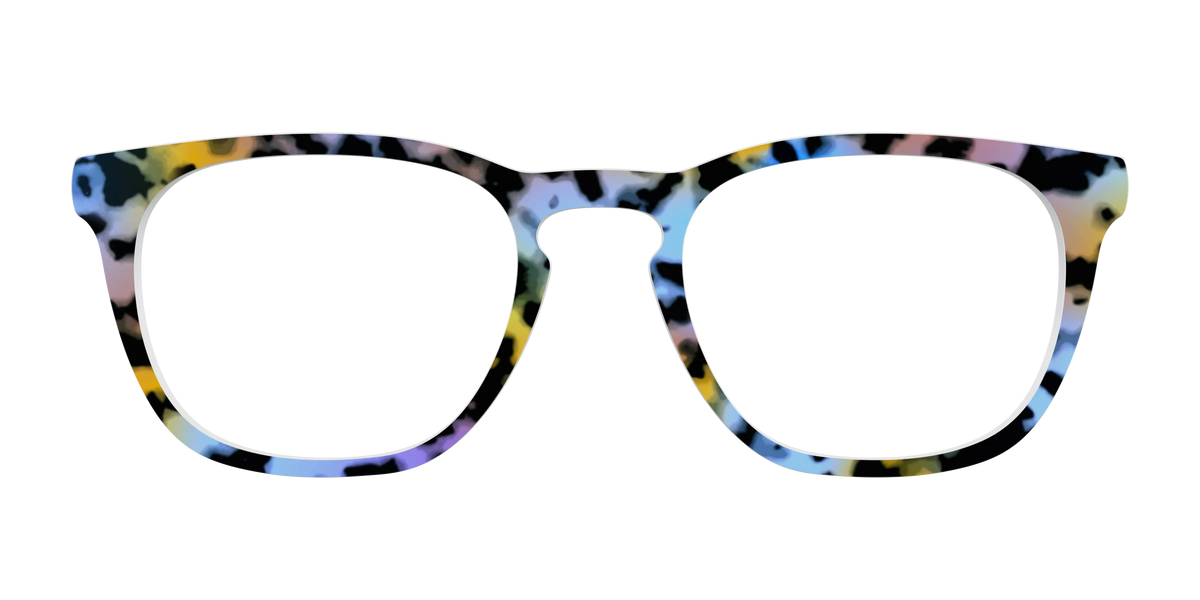 The Positano Tortoise