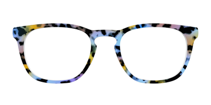 The Positano Tortoise