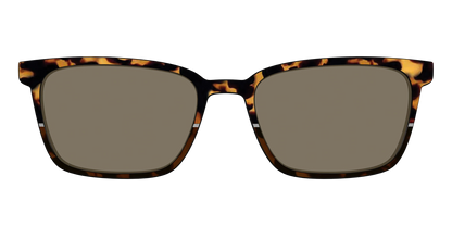 The Polarized Chic Tortoise Split Sun Top