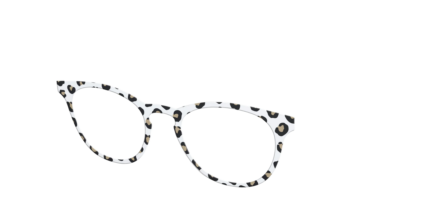 The Classic Cheetah