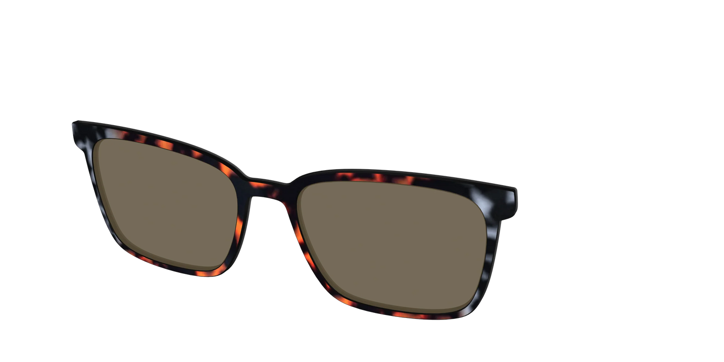 The Polarized Gray & Amber Tortoise Sun Top