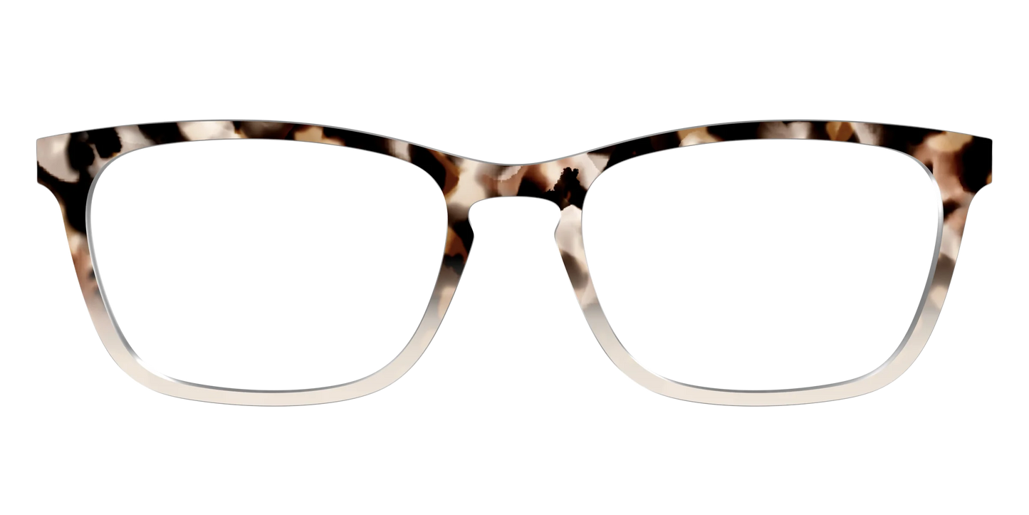 The Vanilla Latte Tortoise