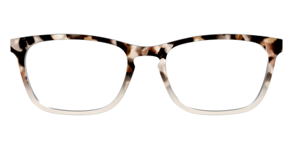 The Vanilla Latte Tortoise