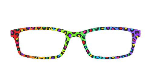 The Rainbow Cheetah