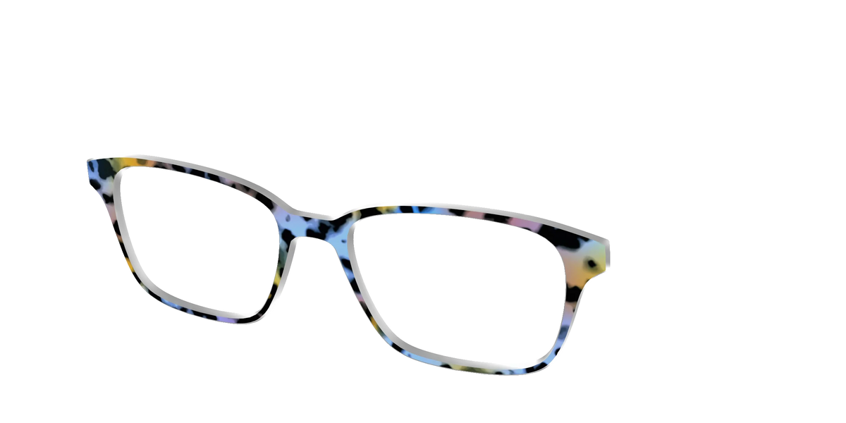 The Positano Tortoise