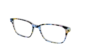 The Positano Tortoise