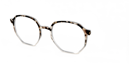 The Vanilla Latte Tortoise