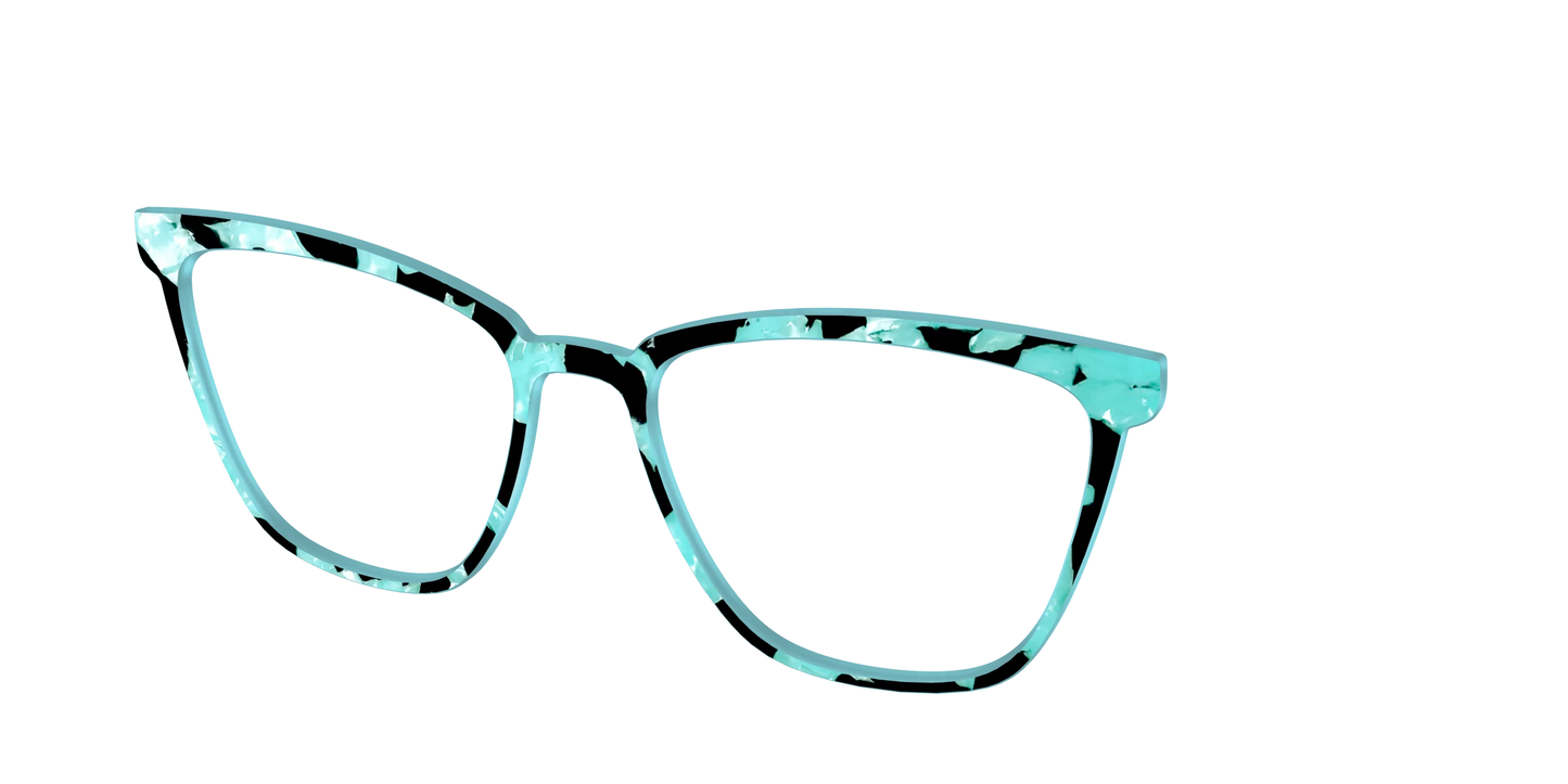 The Robin's Egg Pearl Tortoise