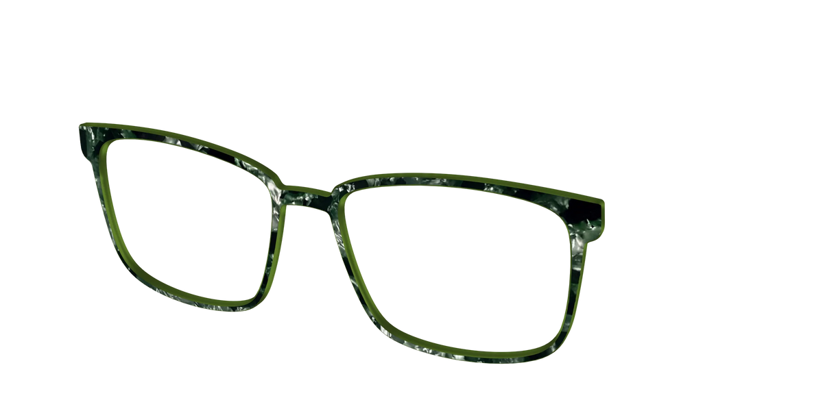 The Olive Pearl Tortoise