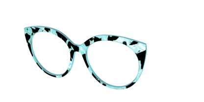 The Robin's Egg Pearl Tortoise