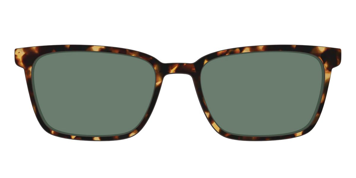 The Non-Polarized Green Tortoise Sun Top
