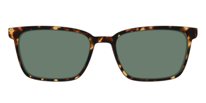 The Non-Polarized Green Tortoise Sun Top