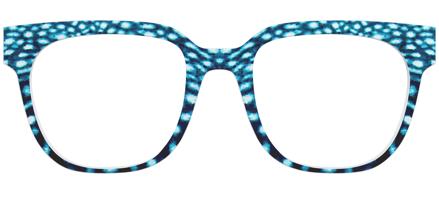 The Whale Shark Spots