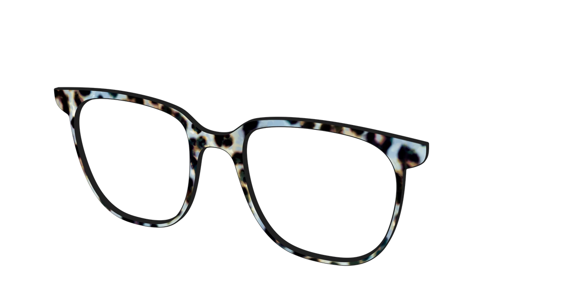 The Earl Grey Tortoise