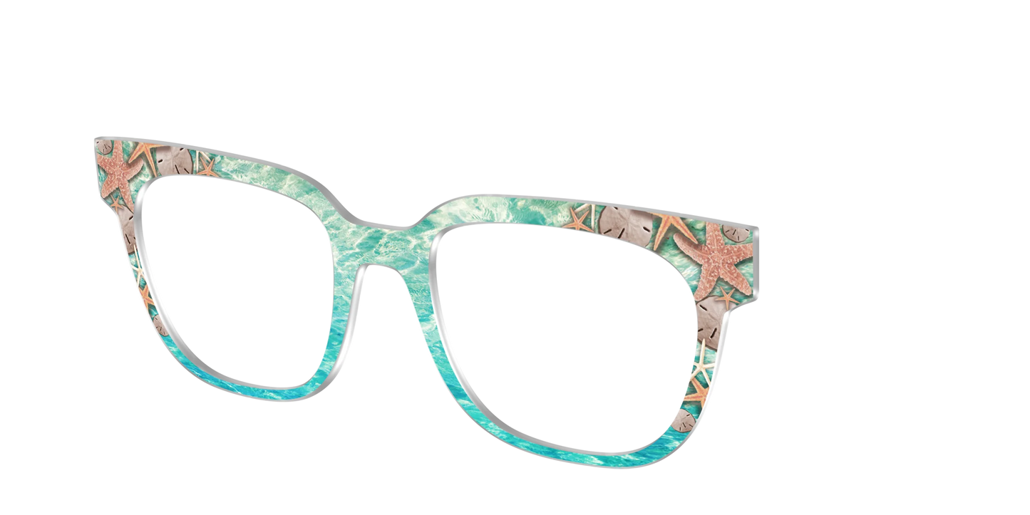 The Seaside Starfish