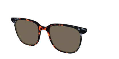 The Polarized Gray & Amber Tortoise Sun Top