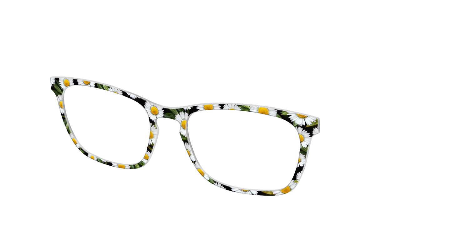 The Delicate Daisies