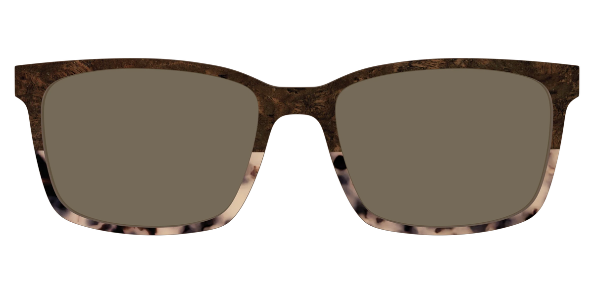 The Polarized Dark Oak Tortoise Split Sun Top