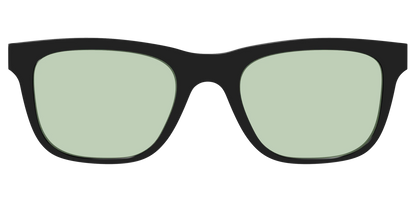 The Black With Sage Green Lens