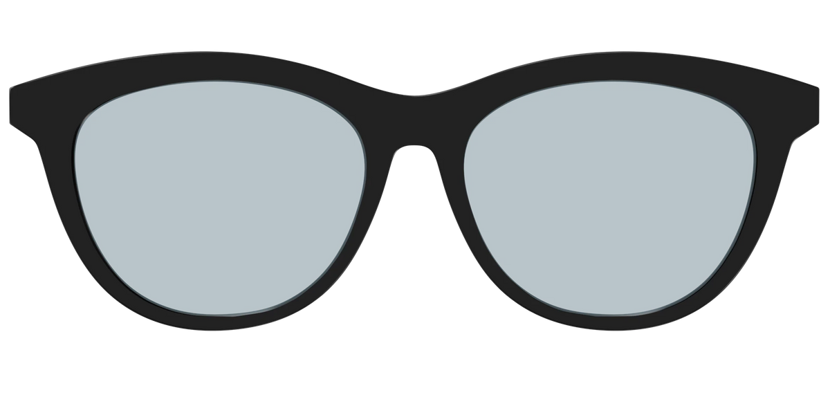 The Black With Slate Blue Lens