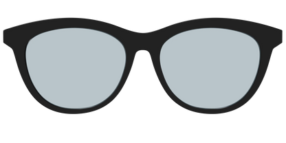 The Black With Slate Blue Lens