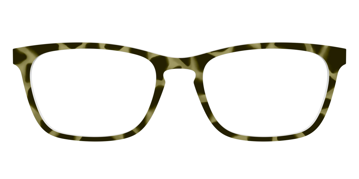 The Olive Tortoise