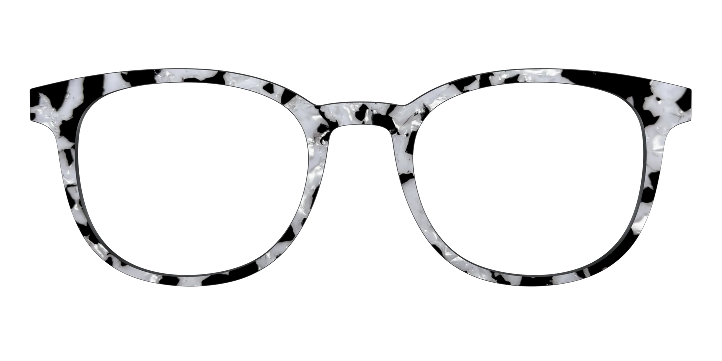 The Black & White Pearl Tortoise