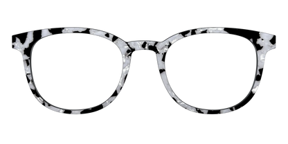 The Black & White Pearl Tortoise