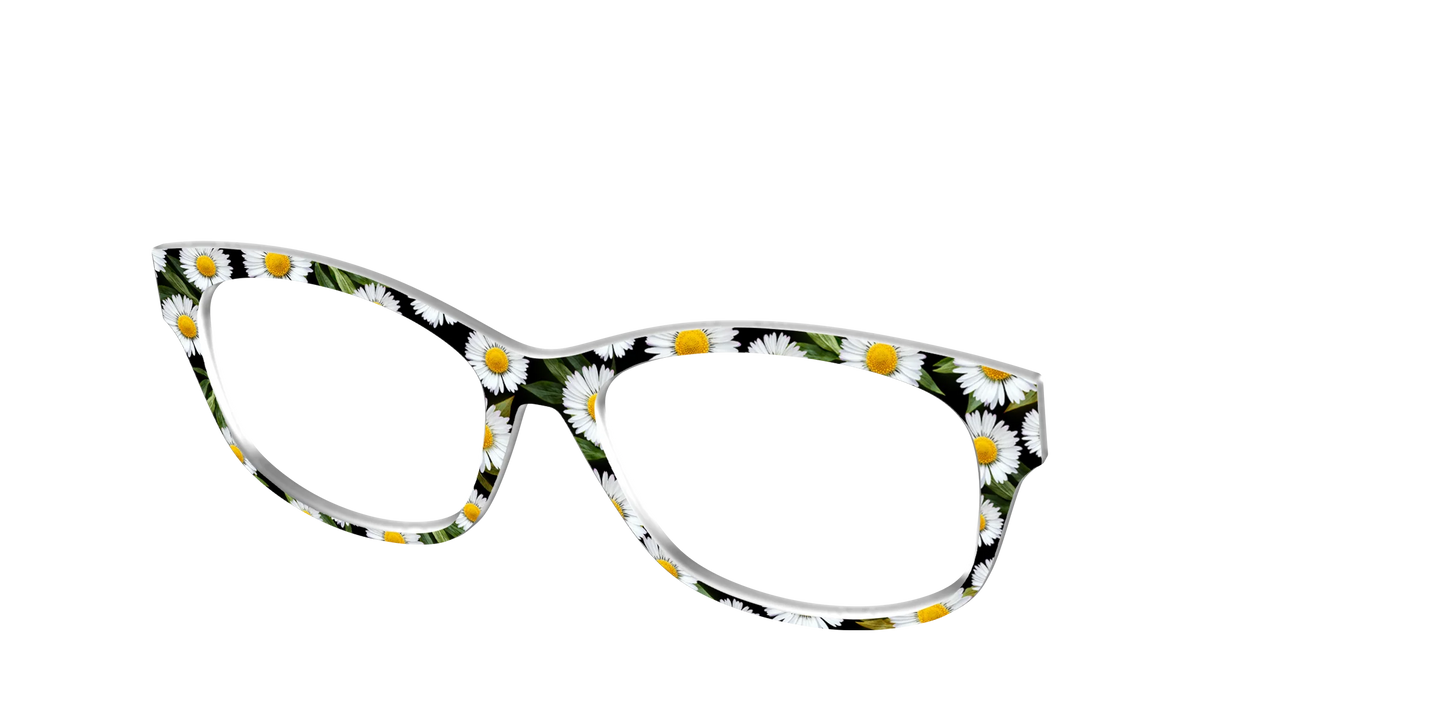The Delicate Daisies
