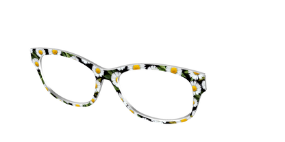 The Delicate Daisies