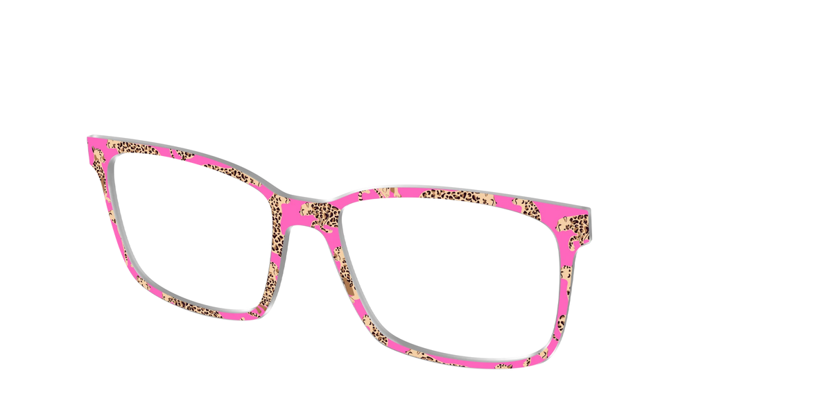 The Hot Pink Cheetahs