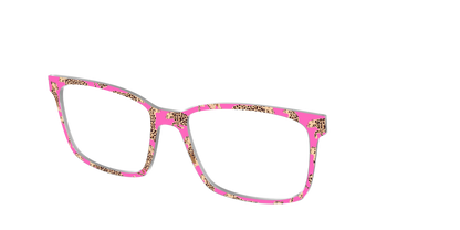 The Hot Pink Cheetahs