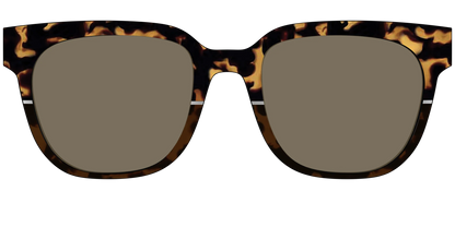 The Polarized Chic Tortoise Split Sun Top