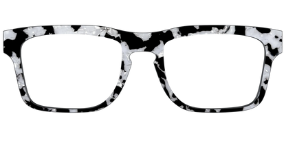 The Black & White Pearl Tortoise