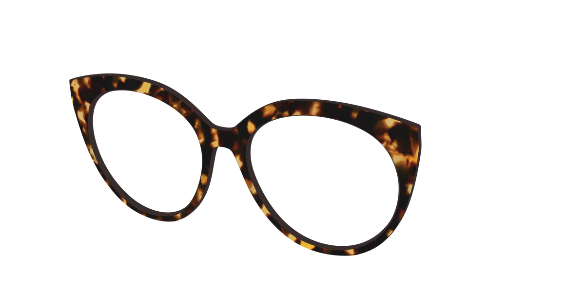 The Tortoise