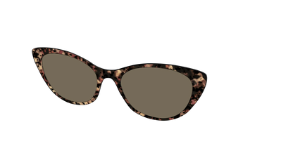 The Polarized Sienna Tortoise Sun Top