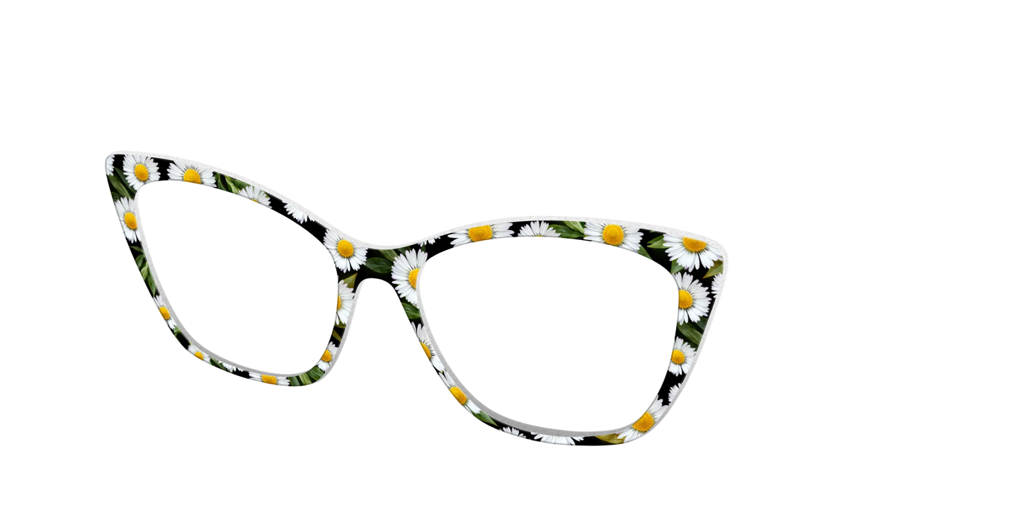 The Delicate Daisies