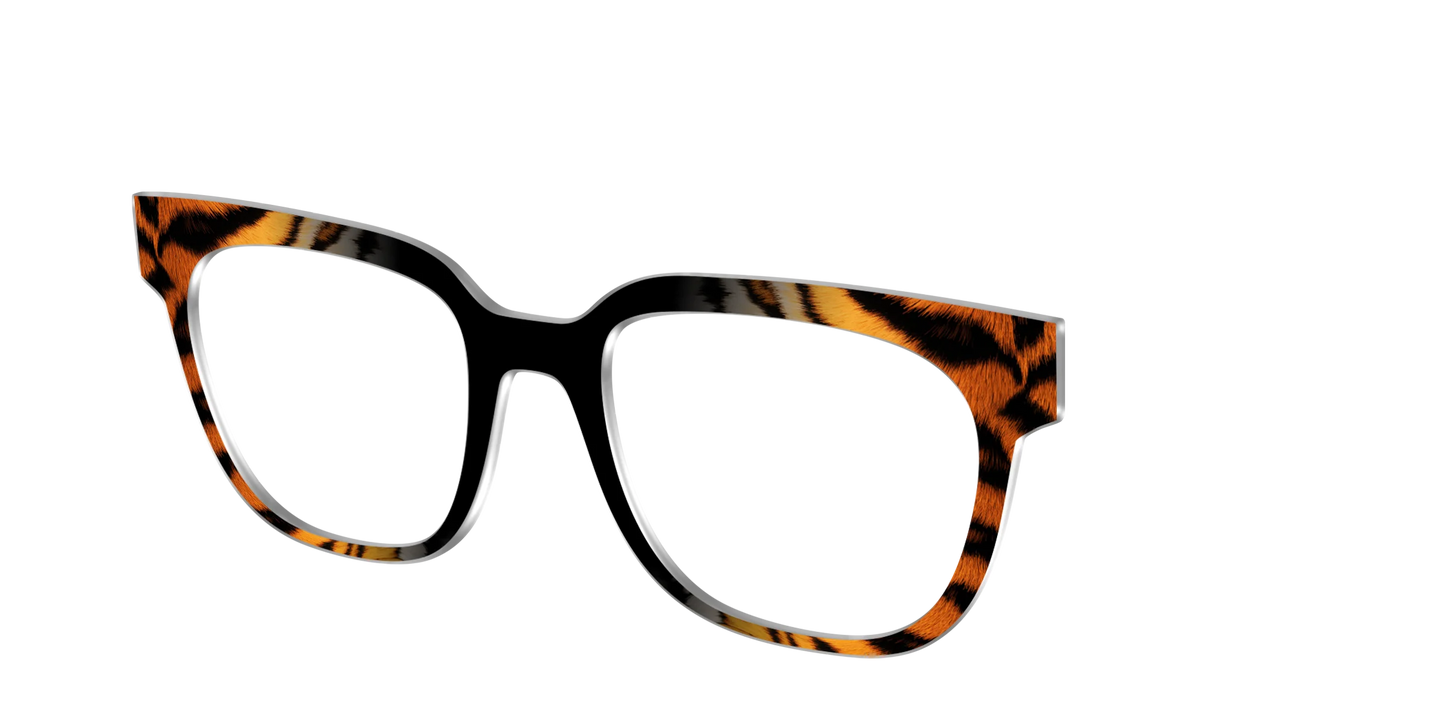 The Bengal Stripes