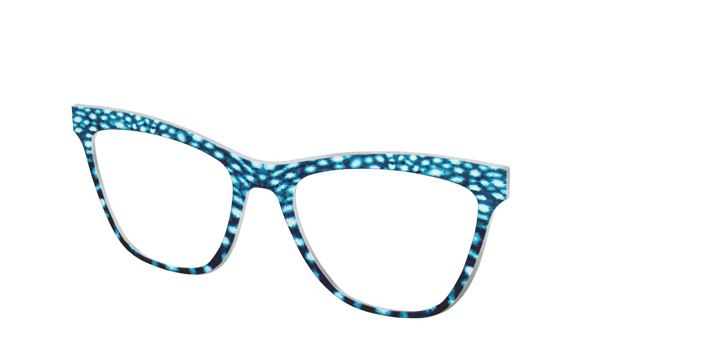 The Whale Shark Spots